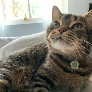 Meet your Posher, Coral